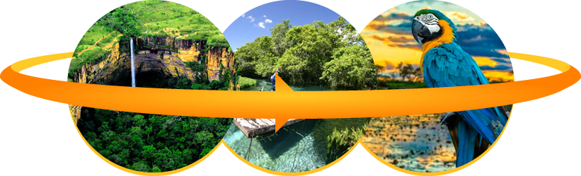 Fretamento em Sorriso